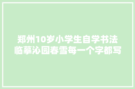 郑州10岁小学生自学书法临摹沁园春雪每一个字都写出成就感