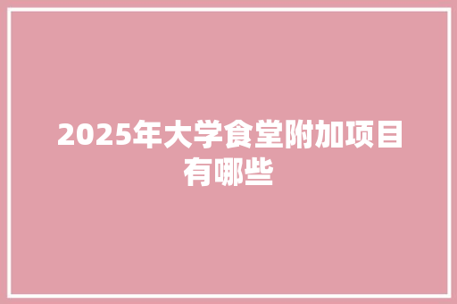 2025年大学食堂附加项目有哪些