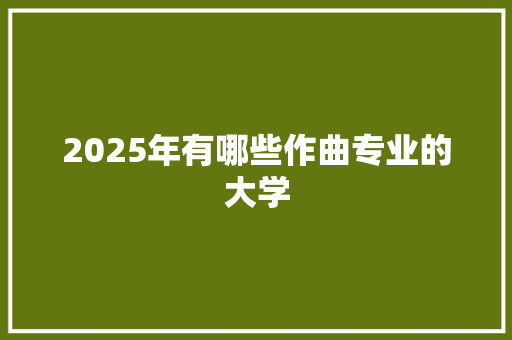 2025年有哪些作曲专业的大学