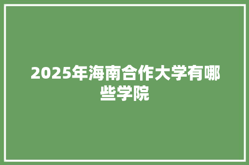 2025年海南合作大学有哪些学院