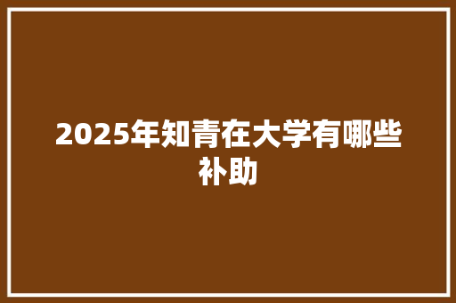 2025年知青在大学有哪些补助