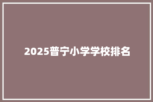 2025普宁小学学校排名