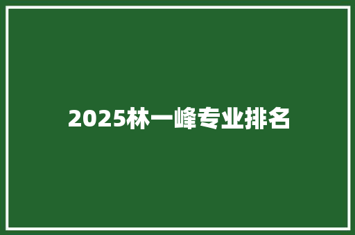 2025林一峰专业排名