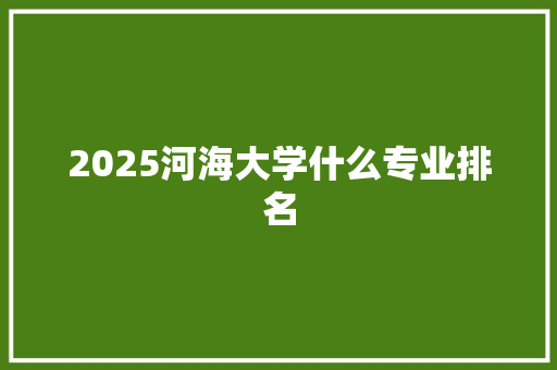2025河海大学什么专业排名