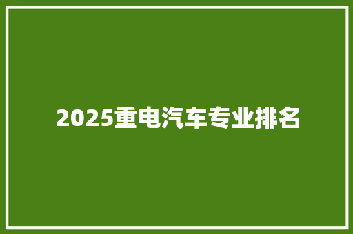 2025重电汽车专业排名