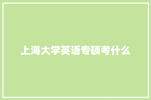 上海大学英语专硕考什么