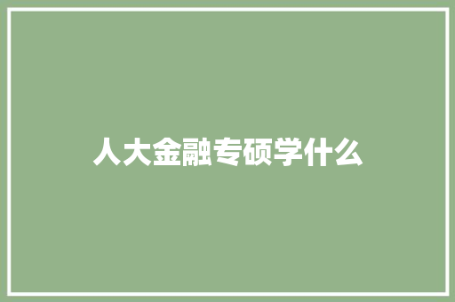 人大金融专硕学什么