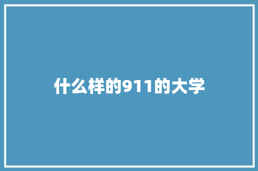 什么样的911的大学