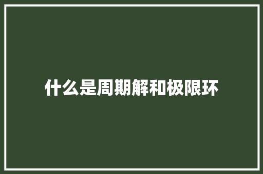 什么是周期解和极限环