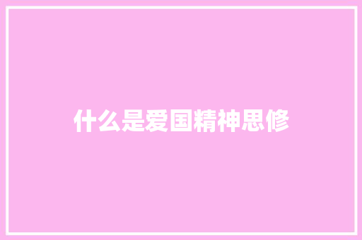 什么是爱国精神思修