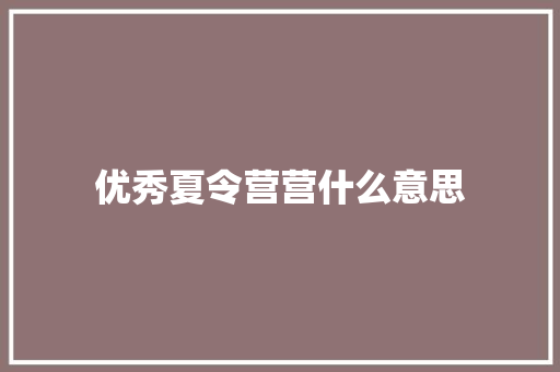 优秀夏令营营什么意思