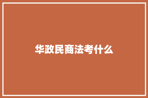 华政民商法考什么