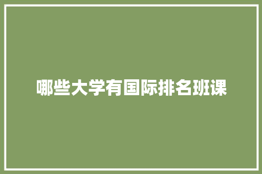 哪些大学有国际排名班课