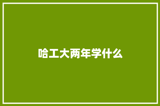 哈工大两年学什么