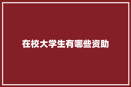 在校大学生有哪些资助