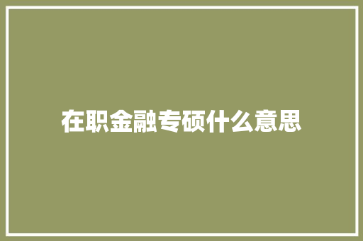 在职金融专硕什么意思