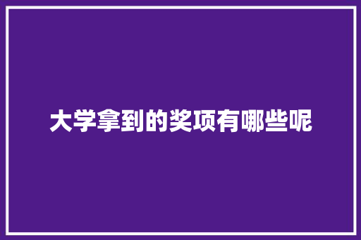 大学拿到的奖项有哪些呢
