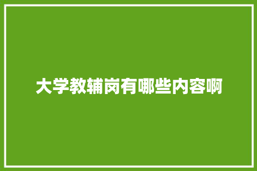 大学教辅岗有哪些内容啊