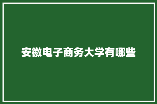 安徽电子商务大学有哪些