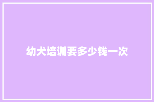 幼犬培训要多少钱一次
