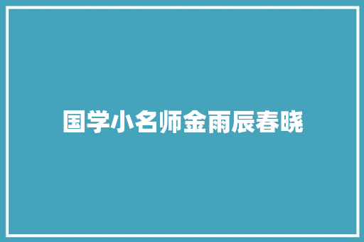 国学小名师金雨辰春晓