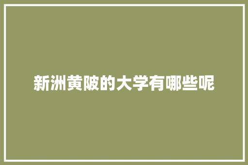 新洲黄陂的大学有哪些呢