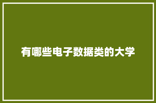 有哪些电子数据类的大学