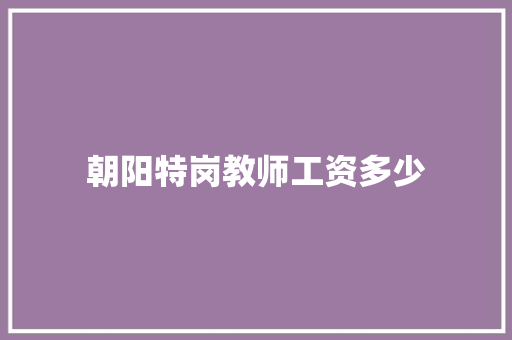 朝阳特岗教师工资多少