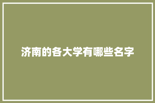 济南的各大学有哪些名字