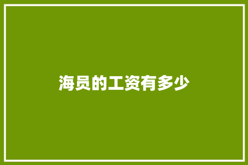 海员的工资有多少