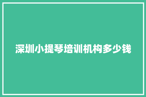 深圳小提琴培训机构多少钱