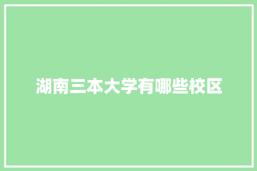 湖南三本大学有哪些校区