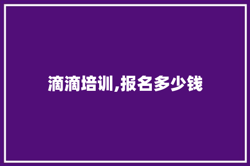 滴滴培训,报名多少钱
