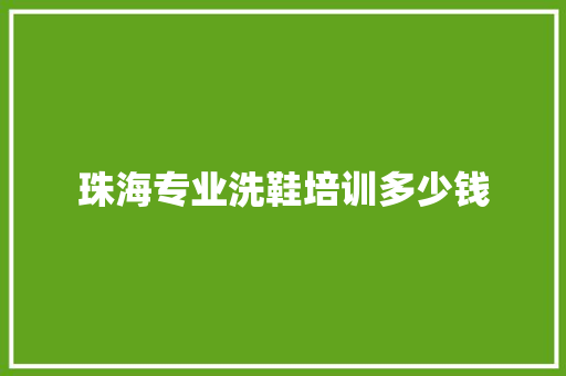 珠海专业洗鞋培训多少钱
