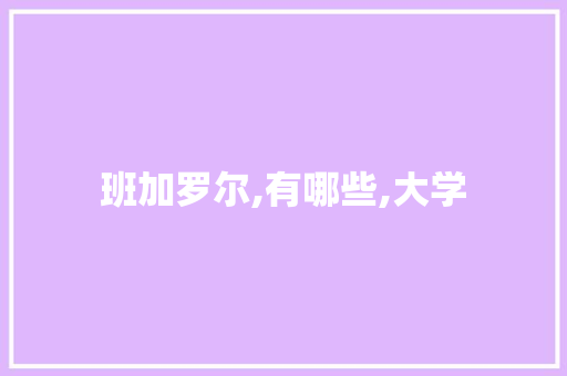 班加罗尔,有哪些,大学