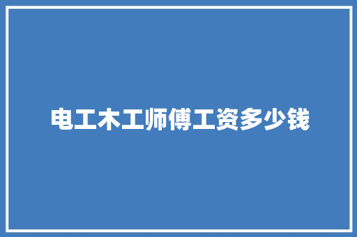 电工木工师傅工资多少钱