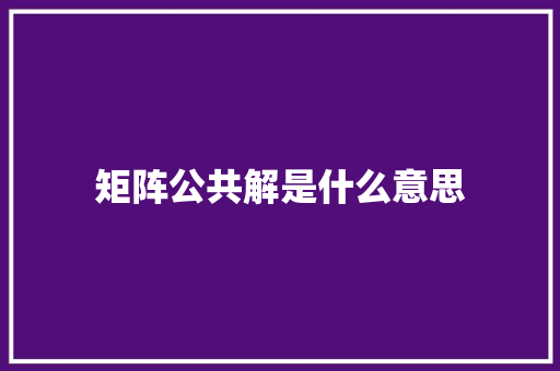 矩阵公共解是什么意思
