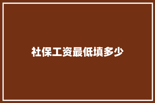社保工资最低填多少
