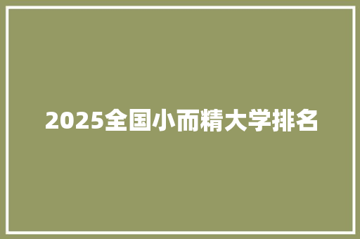 2025全国小而精大学排名