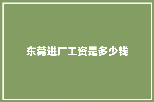 东莞进厂工资是多少钱