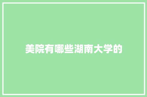 美院有哪些湖南大学的