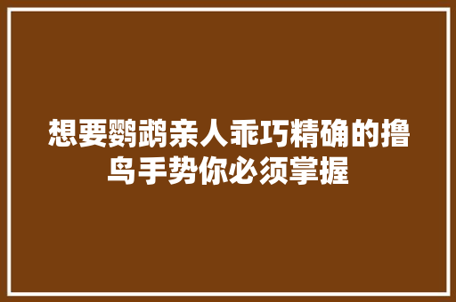 想要鹦鹉亲人乖巧精确的撸鸟手势你必须掌握