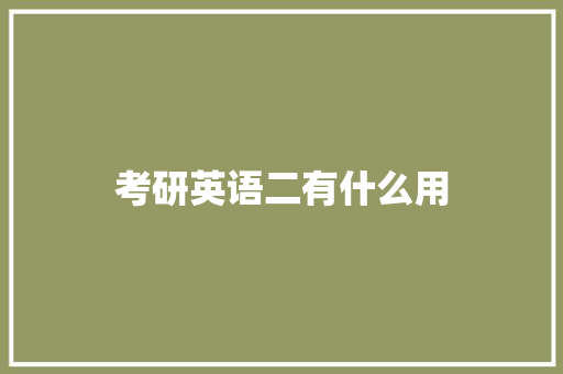 考研英语二有什么用
