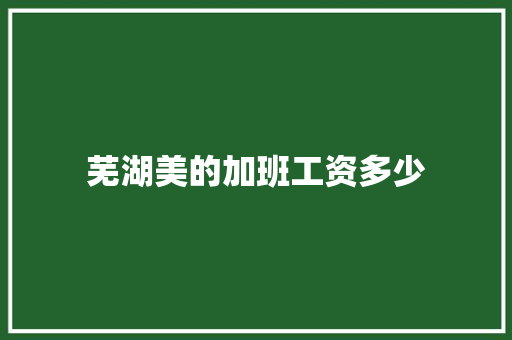 芜湖美的加班工资多少