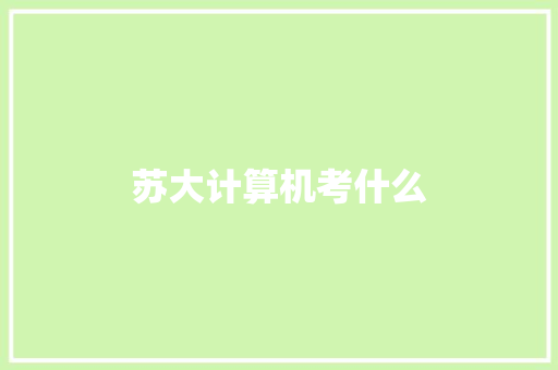 苏大计算机考什么