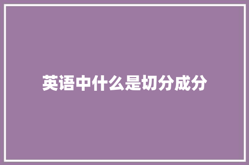 英语中什么是切分成分