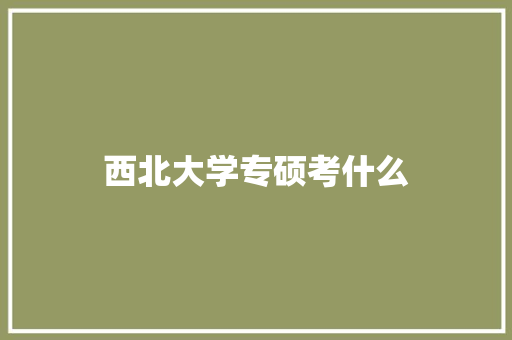 西北大学专硕考什么