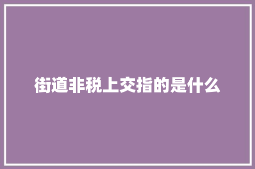 街道非税上交指的是什么