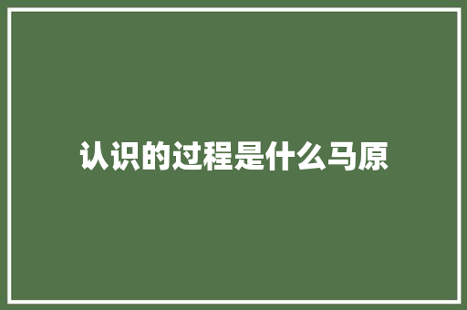 认识的过程是什么马原