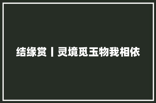 结缘赏丨灵境觅玉物我相依